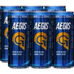 Ginsengli Şekersiz Enerji Içeceği 6 x 250 ml