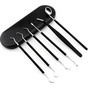 6 Parça Paslanmaz Çelik Metal Kutulu  Diş Tartar Temizleme Dental Ağız Bakım Seti