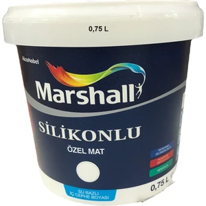 Su Bazlı Amerikan Panel Kapı Boyası Kokusuz 0,75 Lt
