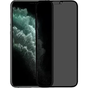iPhone 11 Pro Max Hayalet Ekran Koruyucu Tam Kaplayan Gizli