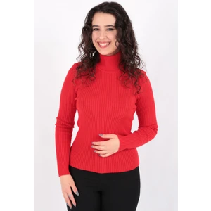 Fashion Friends 23K0288K1 Kadın Balıkçı Yaka Kazak