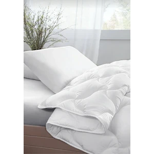 Madame Clean Lüx Soft Microfiber Çift Kişilik Yorgan + 2 Adet Yastık Set