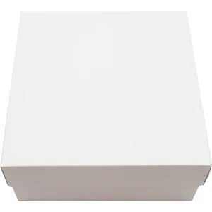 Repro Design 20X20X10 cm Beyaz Kapaklı Bristol Kutu Hediye Kutusu  5 Adet