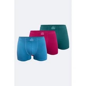 Erkek Bordo Mavi Yeşil 3 Lü Pamuk Elastan Boxer 3M074