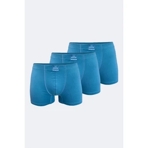 Erkek Mavi 3 Lü Pamuk Elastan Boxer 3M074