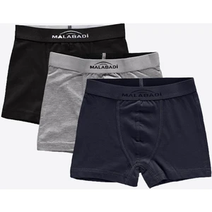3 Lü Paket Erkek Çocuk Boxer 3M208