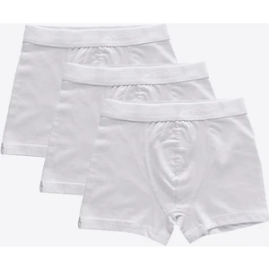 3 Lü Paket Erkek Çocuk Boxer 3M208