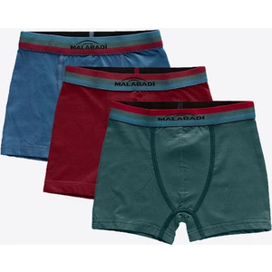 3 Lü Paket Erkek Çocuk Boxer 3M208