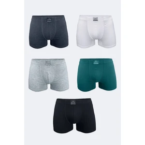 Erkek Karışık Renk 5 Li Pamuk Elastan Boxer 5M074