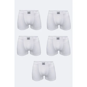 Erkek Beyaz 5 Li Pamuk Elastan Boxer 5M074