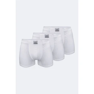 Erkek Beyaz 3 Lü Pamuk Elastan Boxer 3M074