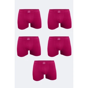 Erkek Bordo 5 Li Pamuk Elastan Boxer 5M074