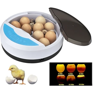 Mini 9+4 Yumurtalı  Otomatik Kuluçka Makinası
