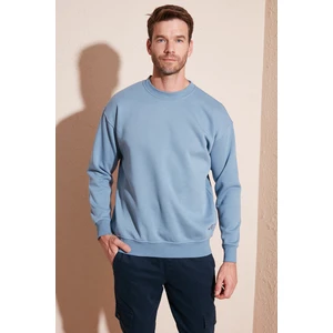 Regular Fit Bisiklet Yaka Pamuklu Içi Tüylü Yumuşak Şardonlu Sweat Erkek Sweat 5905255