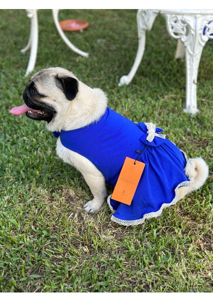 Kedi & Köpek Kıyafeti , Köpek Elbisesi , Kedi Elbisesi , Mavi Turuncu Sarı Elbise