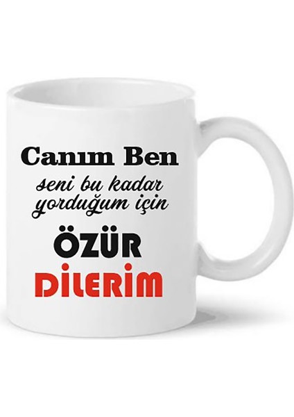Yorduğum İçin Özür Dilerim Baskılı Kupa Bardağı (Çıkmayan Baskı)