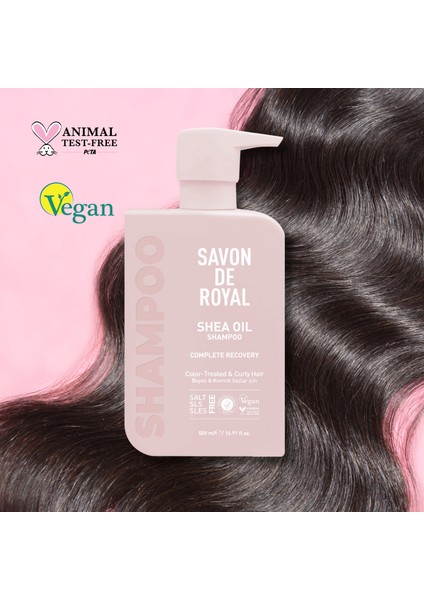 Shea Yağı Boyalı ve Kıvırcık Saçlar İçin Iyileşme Etkili Şampuan 500 ml x 2 Adet