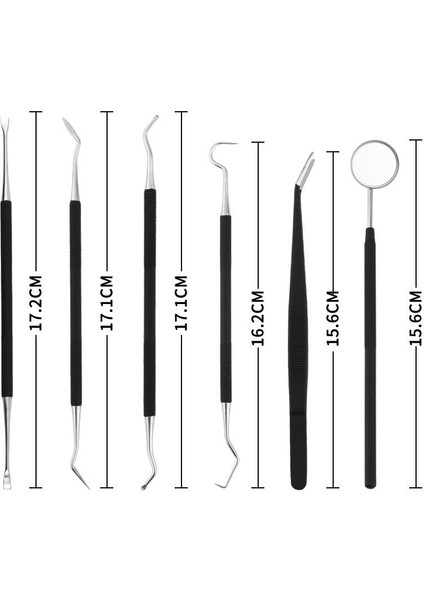 6 Parça Paslanmaz Çelik Metal Kutulu  Diş Tartar Temizleme Dental Ağız Bakım Seti