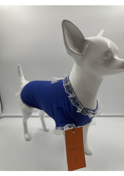 Kedi & Köpek Kıyafeti Köpek Elbisesi Kedi Elbisesi Mavi Elbise Tütü Elbise Dantel