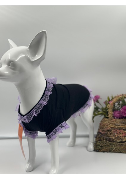 Kedi & Köpek Kıyafeti Köpek Elbisesi Kedi Elbisesi Dantel Elbise Tütü Elbise