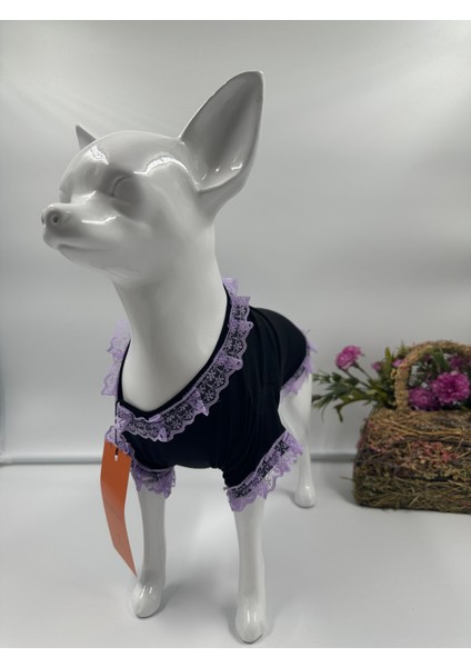 Kedi & Köpek Kıyafeti Köpek Elbisesi Kedi Elbisesi Dantel Elbise Tütü Elbise
