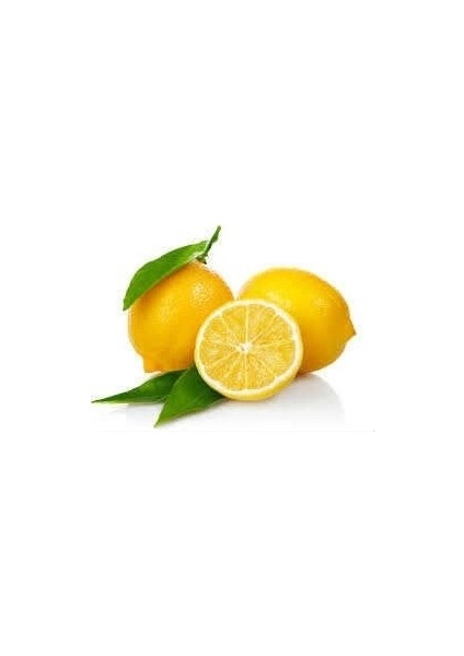 Limon Bonesi / 1000 Adet / Bitki Çayı Bonesi