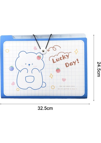 Okul ve Ofis Için Genişletilebilir Akordeon Klasörü - Dosya Yöneticisi (Yurt Dışından) fiyatları