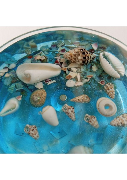 Mıknatıslı Öğütücü Ocean