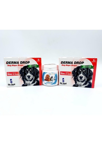 Dr Sed 21-40 kg Köpek Ensedamla 2 Kutu + Supervet Vitamin Tablet