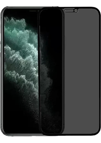 iPhone 11 Pro Max Hayalet Ekran Koruyucu Tam Kaplayan Gizli