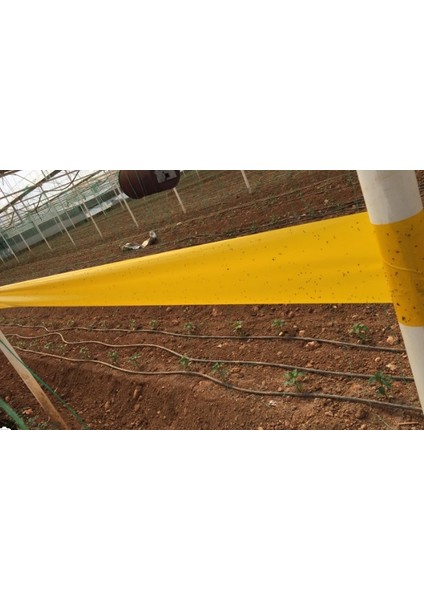 Sarı Rulo Tuzak 0,30*100 Mt fiyatları