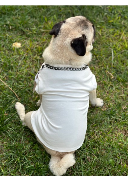 Köpek T-Shirt , Köpek Zincirli T-Shirt , Kedi Zincirli T-Shirt