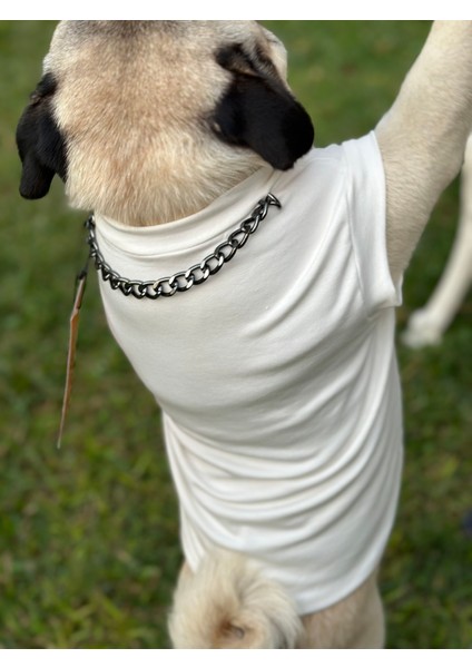 Köpek T-Shirt , Köpek Zincirli T-Shirt , Kedi Zincirli T-Shirt modelleri