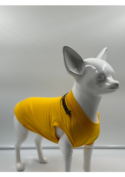 Köpek T-Shirt , Köpek Zincirli T-Shirt , Kedi Zincirli T-Shirt fiyatları