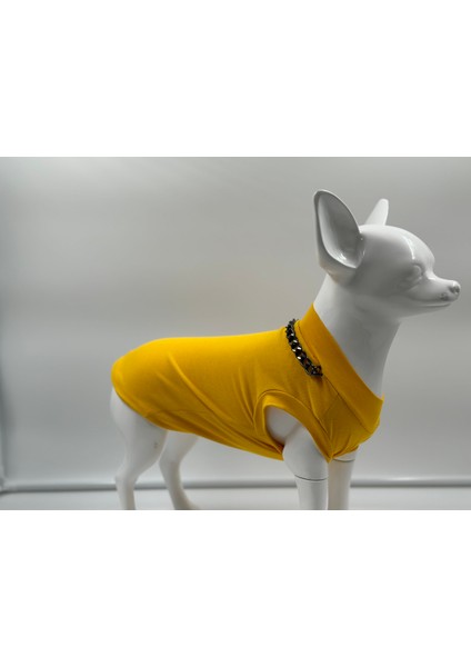 Köpek T-Shirt , Köpek Zincirli T-Shirt , Kedi Zincirli T-Shirt modelleri