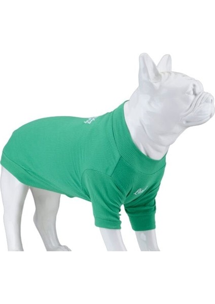 Dogs Make Today Amazing Köpek Kıyafeti Tshirt Yeşil Beden 4