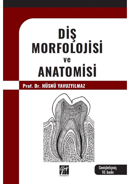 Diş Morfolojisi ve Anatomisi - Hüsnü Yavuz Yılmaz