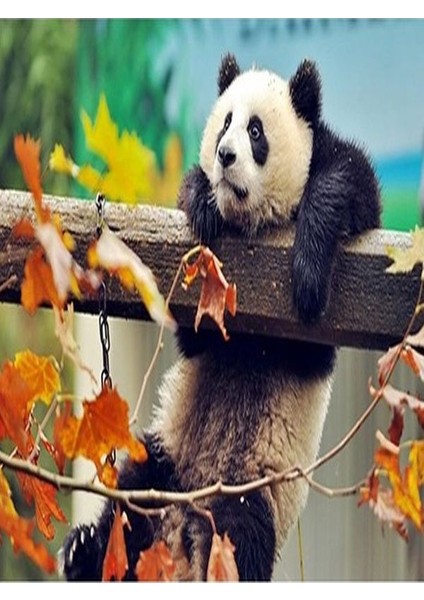 Şaşkın Panda Tablo