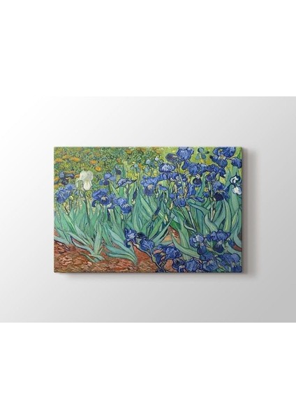 Vincent Van Gogh - Irises Tablo 60 x 80 cm