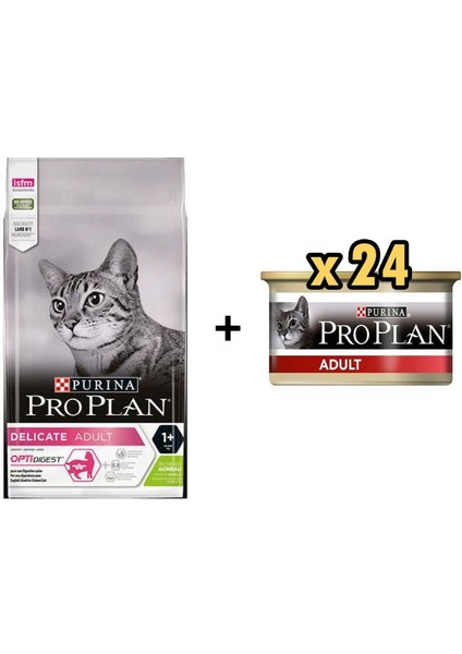 Delicate Kuzulu Yetişkin Kedi Maması 3 kg +24 Adet Proplan Adult Tavuk Etli Yetişkin Kedi Konservesi 85 gr