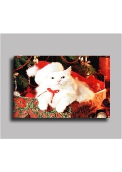 Kedi Tablo 60 x 80 cm