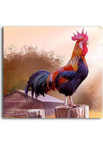 Gün Doğumunda Horoz Tablo 40 x 30 cm
