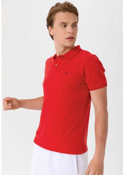 Erkek Basic Polo T-Shirt