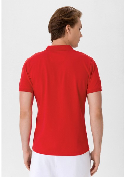 Erkek Basic Polo T-Shirt