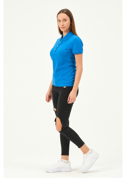 Kadın Regular Fit Polo Yaka T-Shirt