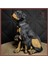El Yapımı Rottweiler Köpek Figürü ve Yavruları – Ev Dekoru İçin Heykeli - Mükemel orijinal tasarım 3