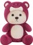 Sevimli Kapüşonlu Peluş Ayı - Sevgiliye Özel Peluş Oyuncak 5