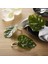 Monstera Peçete Halkaları 10'lu Set, Sahte Palmiye Ağacı Peçete Halkası, Masa Ayarı Için Yeşil Yaprak Peçete Tokaları Tutucu (Yurt Dışından) 2