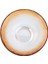 Draco Amber Kase 15 cm 04FIA002575 3