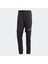 Terrex Utilitas Erkek Siyah Outdoor Pantolon (HN2896) 5